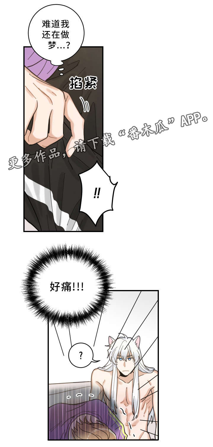 第5话：第5章：推开预览分镜