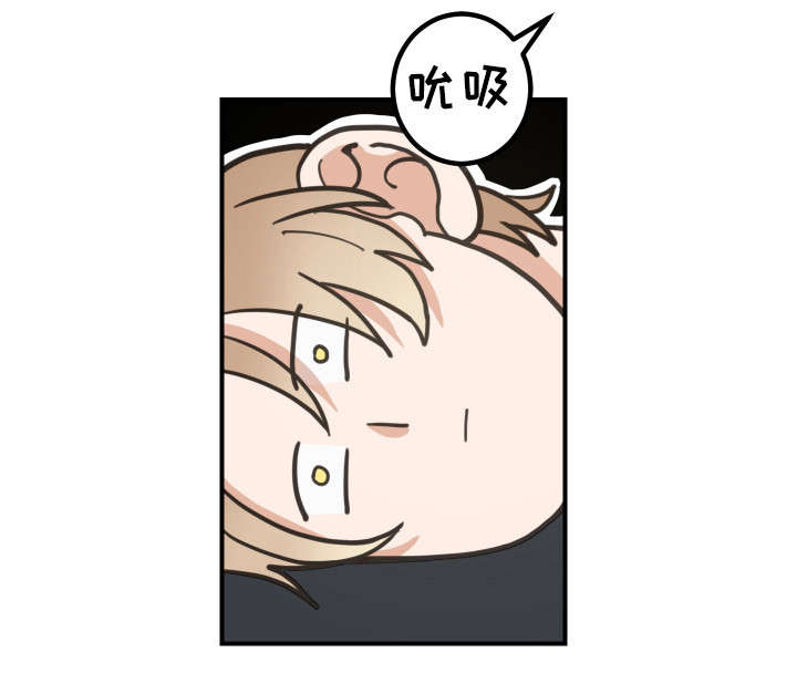 第6话：第6章：猫呢预览分镜