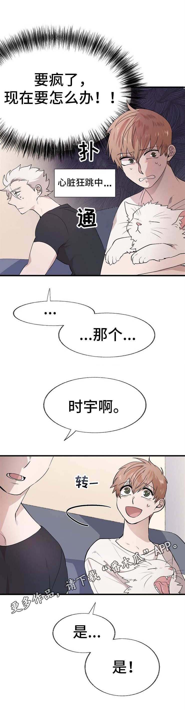 第12话：第12章：过夜预览分镜