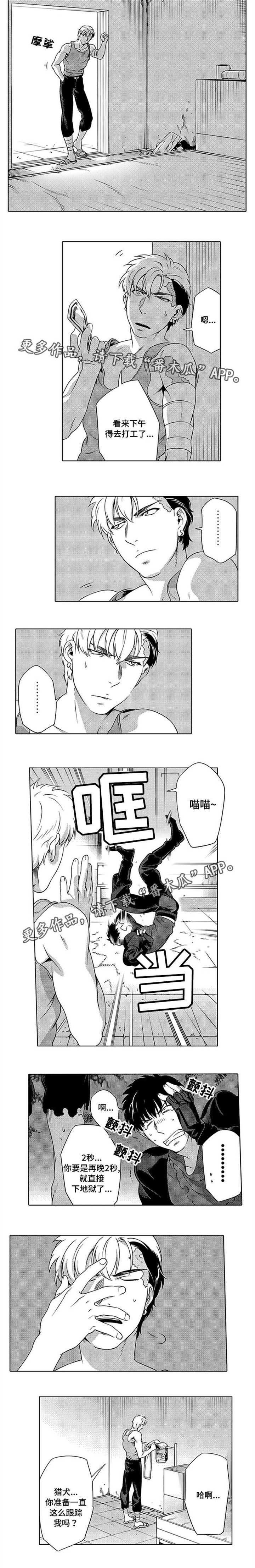第6话：第6章：狗皮膏药预览分镜