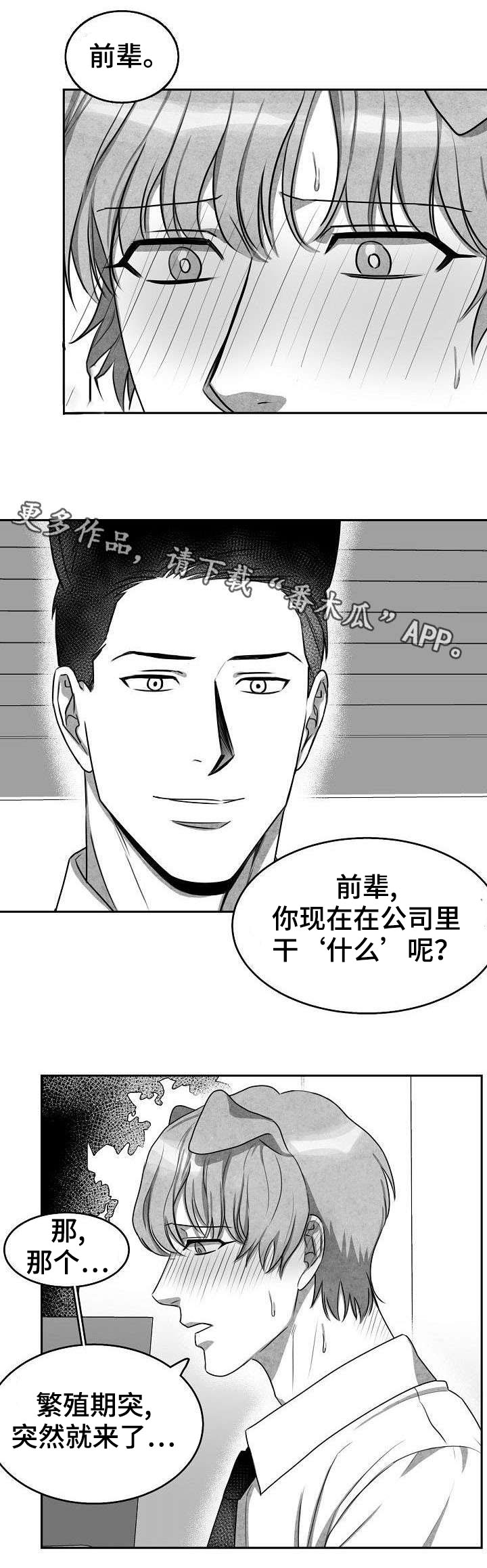 第5话：第5章：不敢面对预览分镜