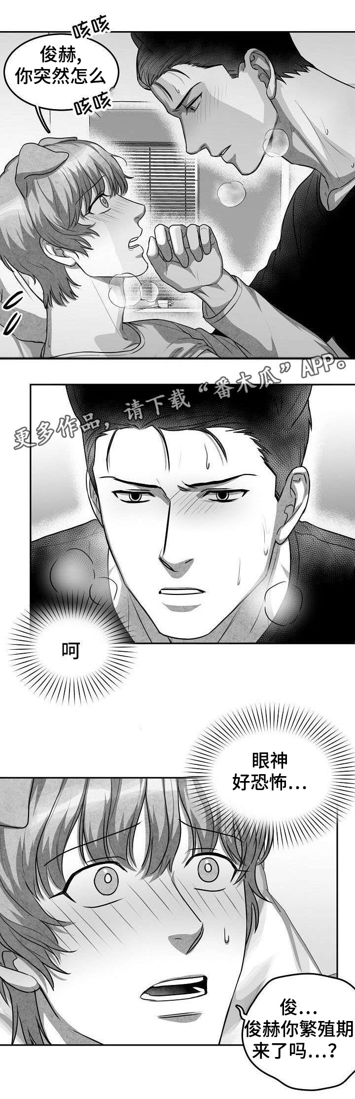 第10话：第10章：好丢人预览分镜