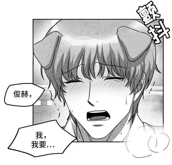 第14话：第14章：就这么办预览分镜