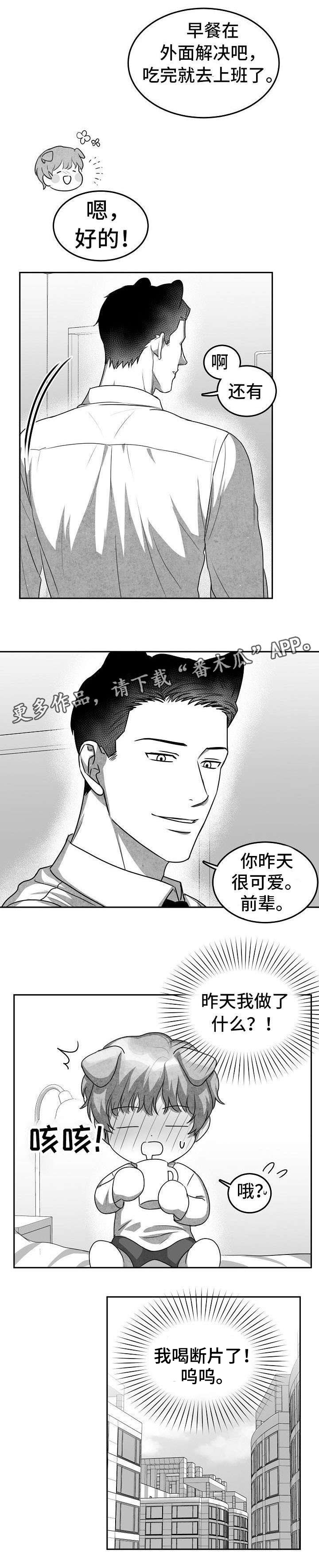 第18话：第18章：第二个新人预览分镜