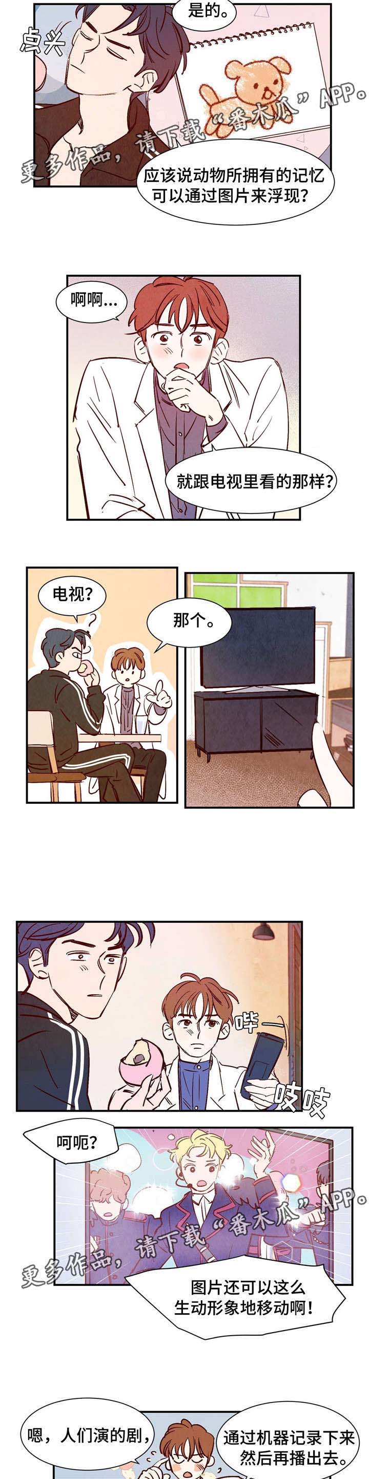第11话：第11章：你的功劳预览分镜
