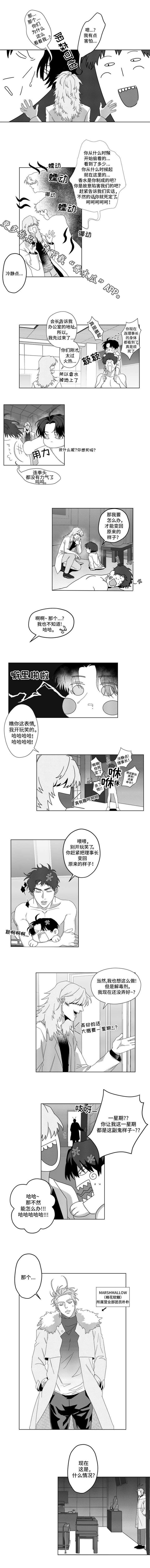第5话：第5章：怪才发明家预览分镜