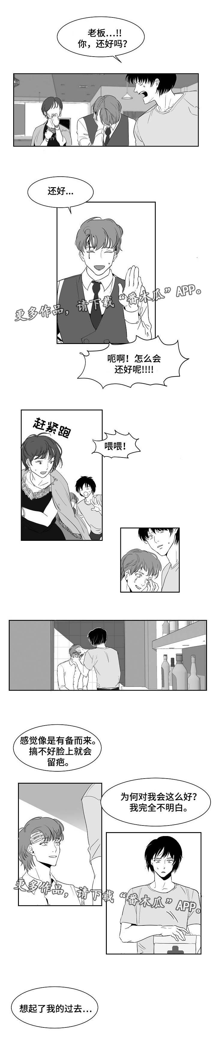 第17话：第17章：什么样子预览分镜