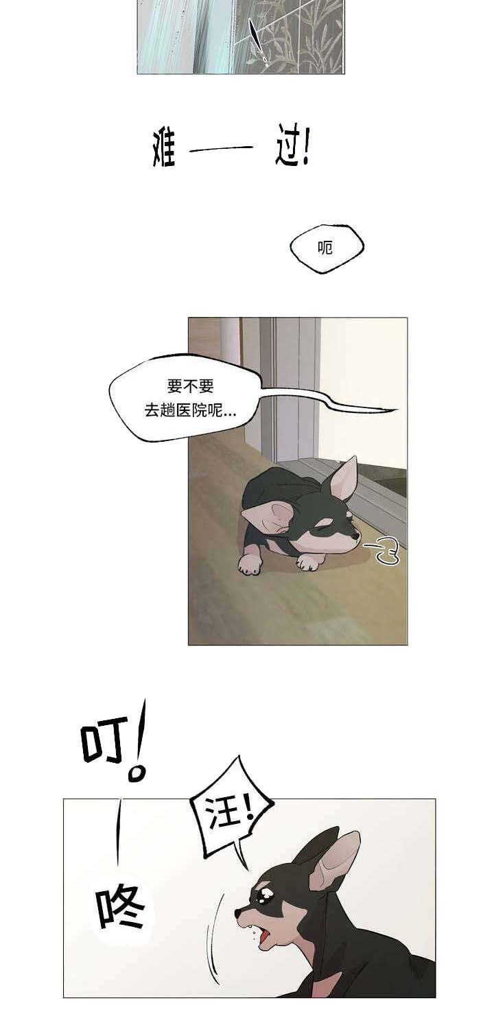 第1话：第1章：邻居预览分镜