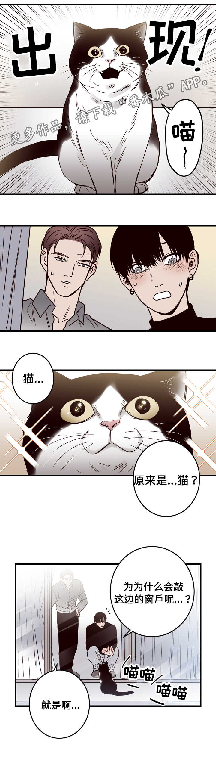 第15话：第15章：窗外预览分镜