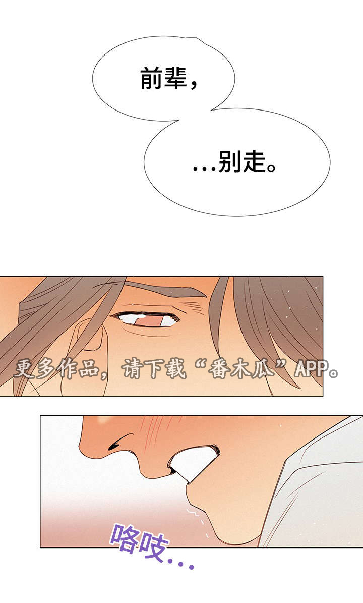 第12话：第12章：和他初始预览分镜