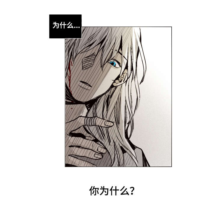 第17话：第17章：登场预览分镜