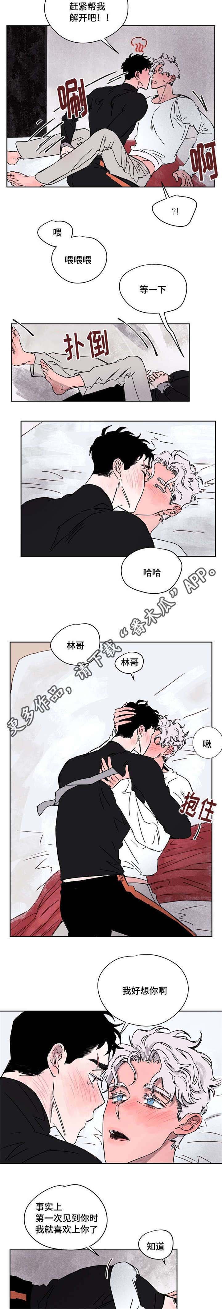 第55章:喜欢你