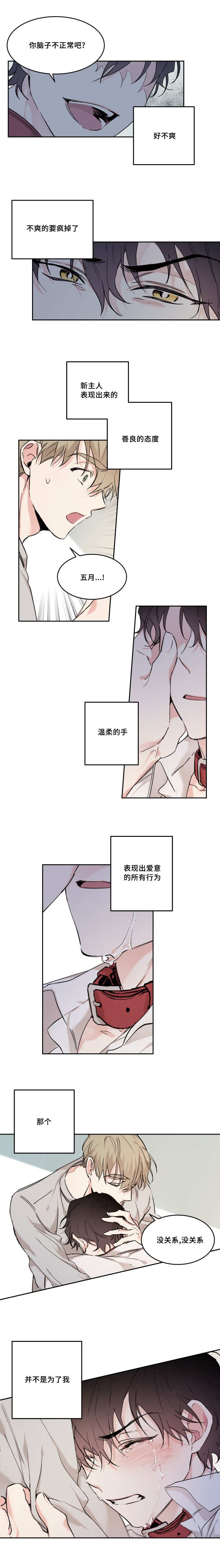 第18话：第18章：我就是五月预览分镜