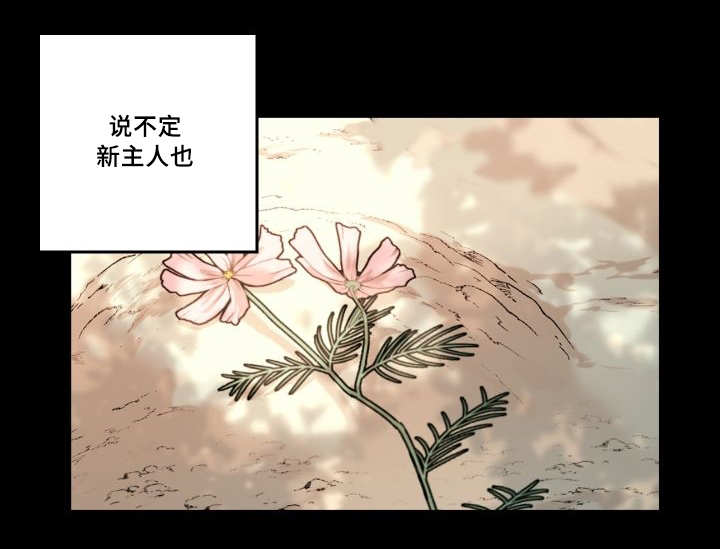 第48章:大结局