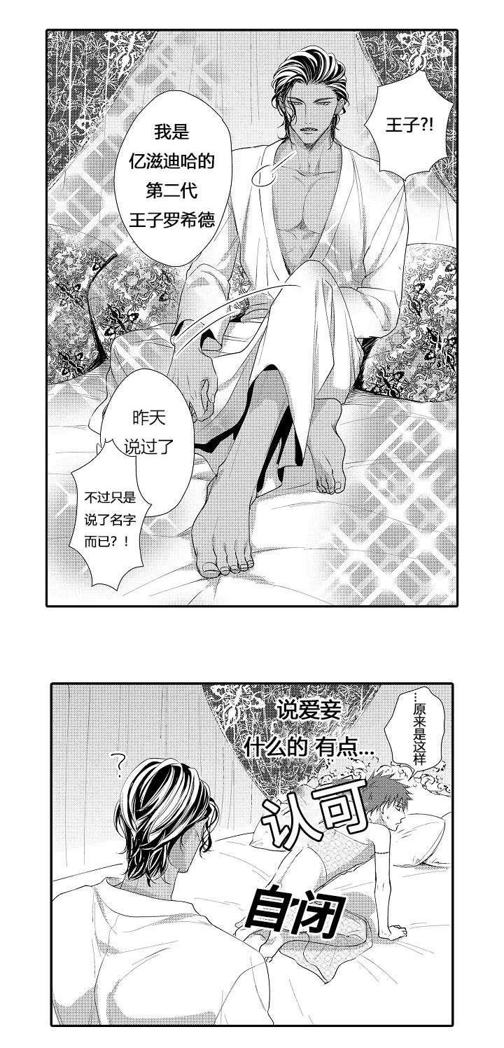 第6话：第6章：商定协议预览分镜