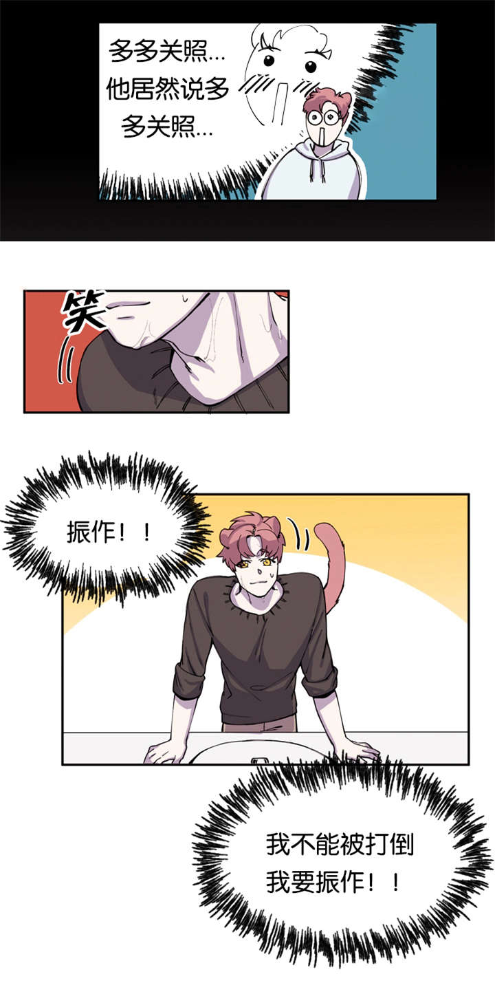 第6话：第6章：寻找狐狸预览分镜
