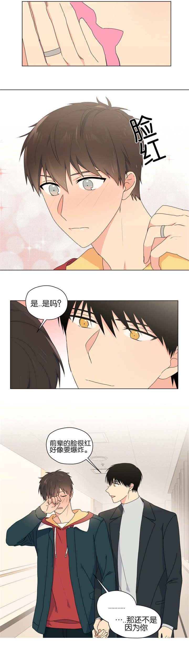 第45章:完结章